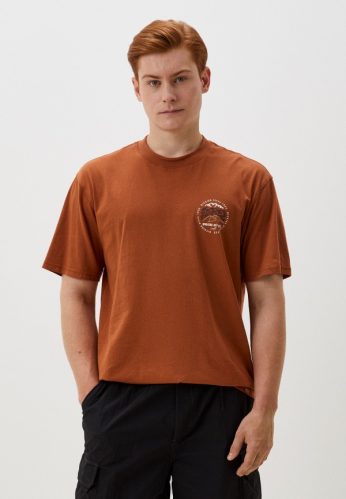 Футболка Dickies